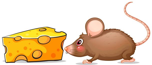 A mouse and a slice of cheese - Vector, Image