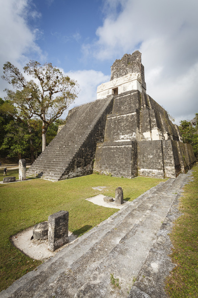 Mayan pyramid in Tikal, Guatemala - Photo, Image