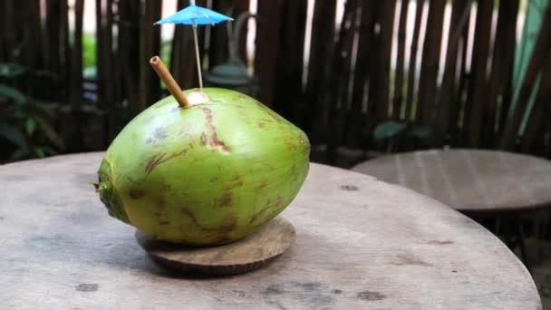 donne mano tenendo succo di cocco in una noce di cocco fresca sul tavolo  - Filmati, video