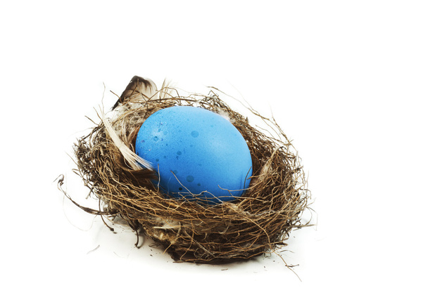 egg is in nest - Фото, изображение