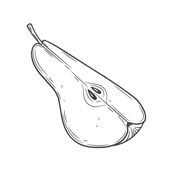 Pear slices engraved vintage illustration isolated on white background. Organic food hand drawn sketch . Black outline. - Vetor, Imagem