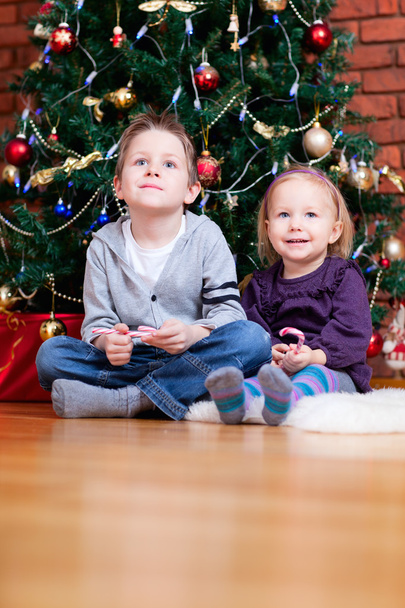 Brother and sister near Christmas tree - Foto, afbeelding