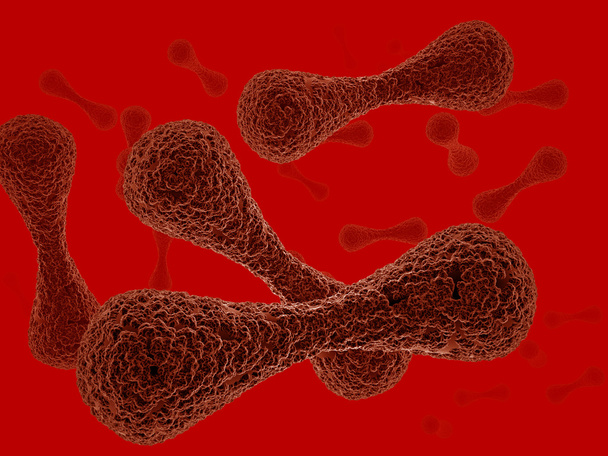 Microbes - Photo, Image