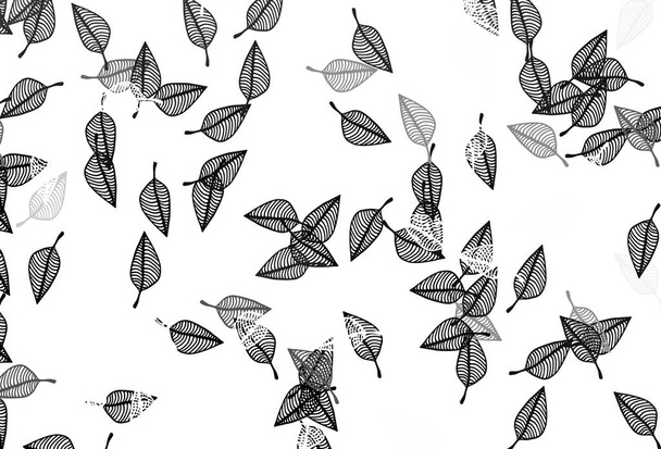 Light Black vector sketch pattern. Glitter abstract illustration with leaves. Completely new design for your business. - Вектор, зображення