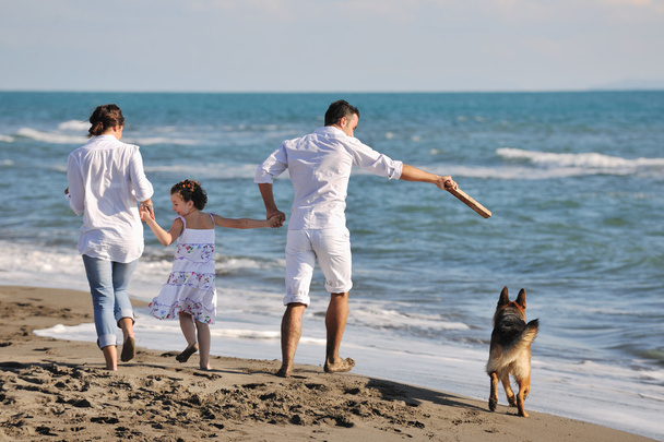Happy family playing with dog on beach - Zdjęcie, obraz