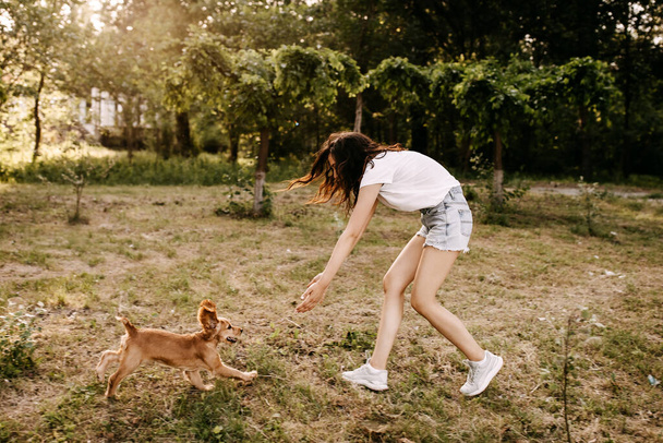 beautiful young woman with her cocker spaniel puppy spending time together in park - Photo, Image