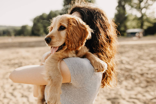 beautiful young woman with her cocker spaniel puppy spending time together in park - Photo, Image