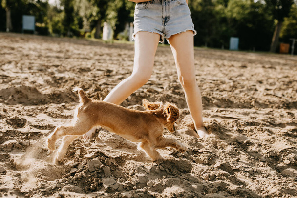 recortado tiro de mujer con su cocker spaniel cachorro pasar tiempo juntos en la naturaleza - Foto, imagen