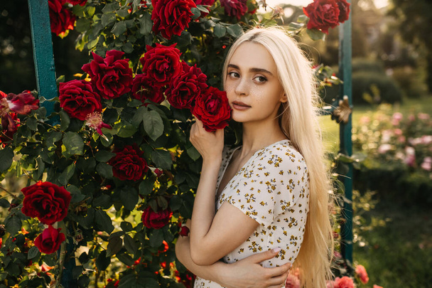 portrait of beautiful young woman in dress in front of roses bush in garden - Photo, Image