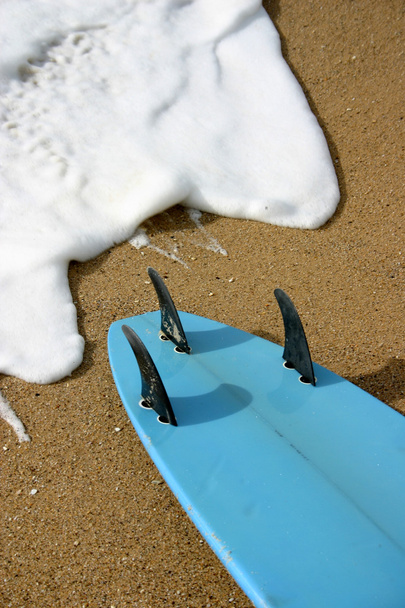 Placa de surf - Foto, Imagem