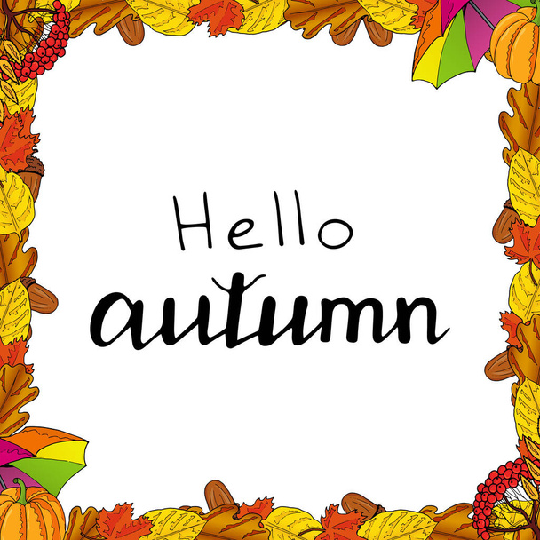 Autumn frame. Yellow leaves, red maple leaves, brown oak leaves, acorns, pumpkin, colorful umbrella and mountain ash on a white background. Lettering Hello Autumn. Hand drawing. Vector illustration. - Vector, imagen