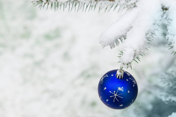 New year decoration blue ball on a snow-covered branch. Christmas tree toy on the branches of a Christmas tree covered with snow on the background of spruce branches in the forest - Фото, зображення