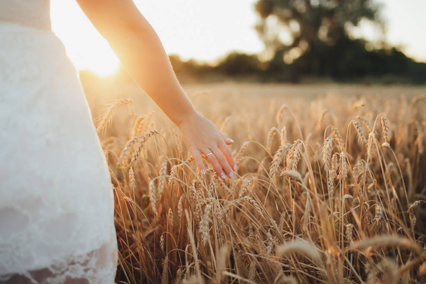 Fille dans le champ de blé, main de fille et épillets de blé, coucher de soleil sur le champ. Photo de haute qualité - Photo, image
