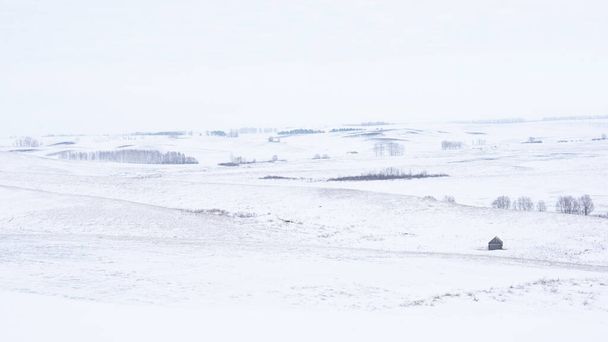 Winter rural icy snowy landscape. Fields with hills, trees and covered snow. Russia. - Foto, Imagem