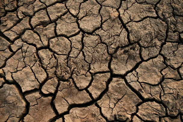 Soil cracked background. Earth in dry season - Photo, Image