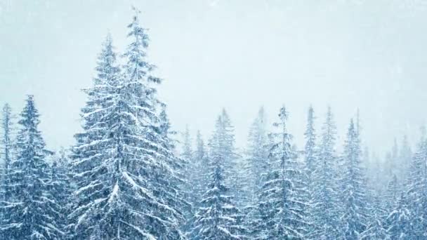 Bella neve soffice sui rami degli alberi. La neve cade splendidamente dai rami di abete rosso. Fiaba invernale, alberi in cattività di neve. Snowing video riprese invernali - Filmati, video
