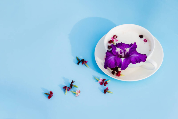 White Cup with vegan milk and flowers on a blue background. Concept of vegetarian drinks and food, herbal teas, beauty and health, Spa. - Фото, изображение