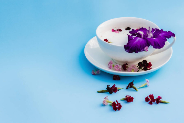 Белая чашка с веганским молоком и цветами на голубом фоне. Концепция вегетарианских напитков и продуктов питания, травяные чаи, красота и здоровье, Спа. - Фото, изображение