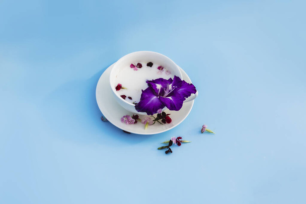 White Cup with vegan milk and flowers on a blue background. Concept of vegetarian drinks and food, herbal teas, beauty and health, Spa. - Fotoğraf, Görsel