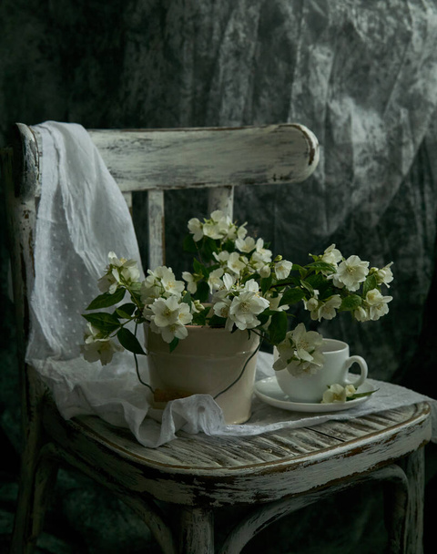 Jasmine flowers in a white vase. Stillife with jasmine and cup of coffee. - Photo, Image