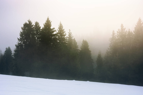 наближається до хуртовини в гірському пейзажі. ялина на засніженому лузі. погана погода взимку. туман і хмари в далекій долині
 - Фото, зображення