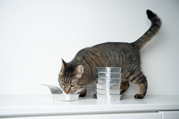 корм для кошек из алюминиевого контейнера - Фото, изображение