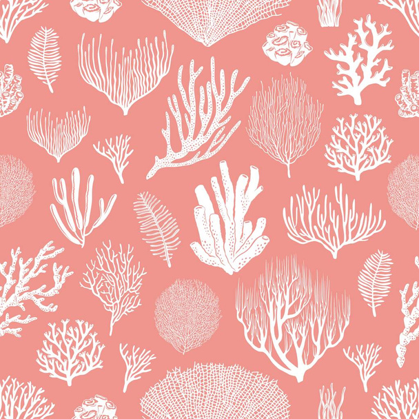 Corales y algas vector patrón sin costura sobre fondo rosa. Pólipos y algas de arrecife de coral marino, fauna submarina del océano tropical y flora marina telón de fondo de diseño textil o de papel pintado - Vector, imagen