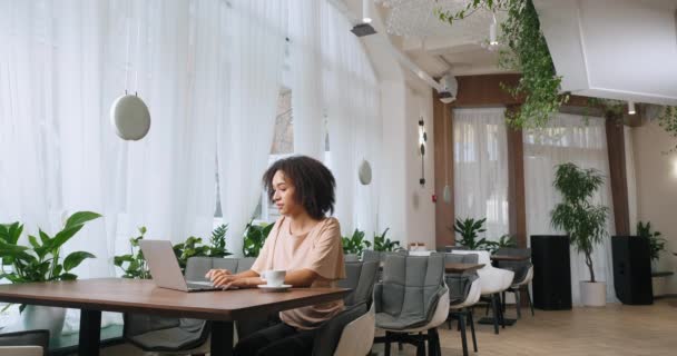 ロングショットアフロアメリカのビジネス女性フリーランスの留学生は、現代のラップトップチャットで入力カフェレストランで座って同僚とチャット卒業証書レポートネットワーキングでサーフィンリモートで作業 - 映像、動画