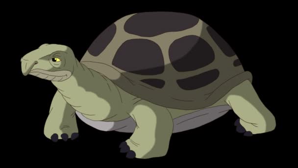 Velká zelená želva se rozhlédne. Ručně animované smyčkové záběry izolované s alfa kanálem. - Záběry, video