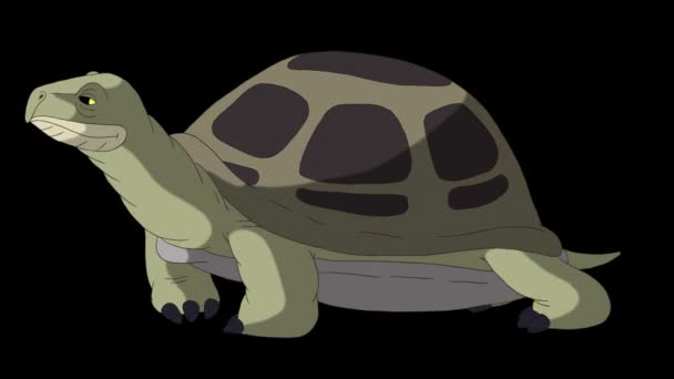 Una grossa tartaruga verde che annusa. Filmati animati fatti a mano isolati con canale alfa. - Filmati, video