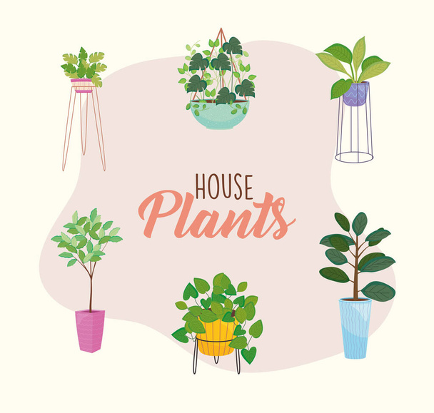 maison icône set plantes à l'intérieur pots vectoriel design - Vecteur, image