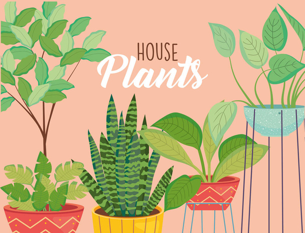house plants inside pots on cream background vector design - Vector, Image