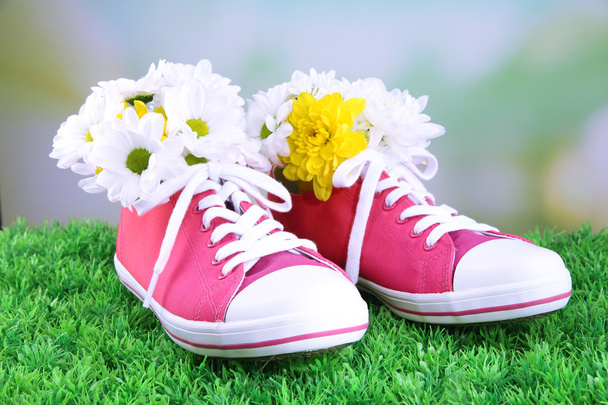 Beautiful gumshoes with flowers inside on green grass, on bright background - Foto, Bild