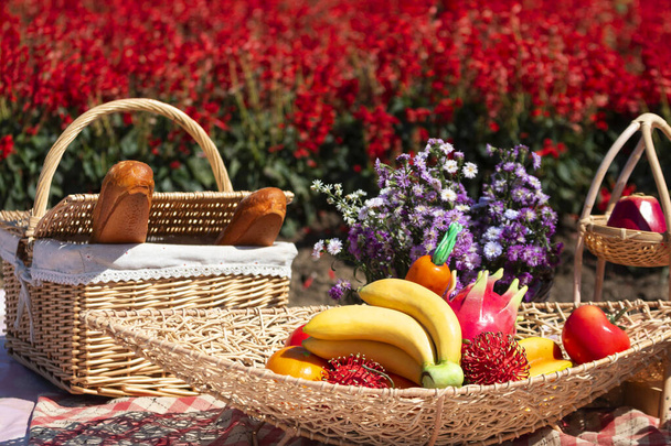 Τρόφιμα, ψωμί, φρούτα και ποτά για Picnick στο κόκκινο λουλούδια Salvia στον κήπο ανθίζουν - Φωτογραφία, εικόνα