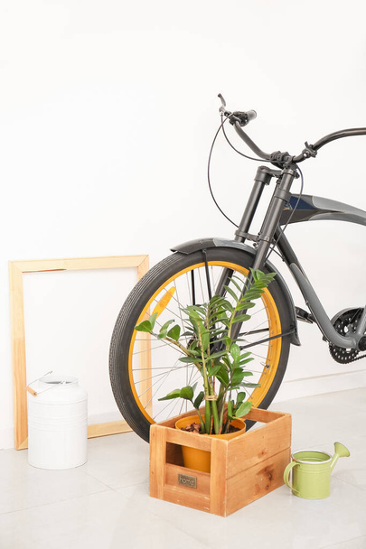 Modernes Fahrrad mit Zimmerpflanze nahe weißer Wand - Foto, Bild