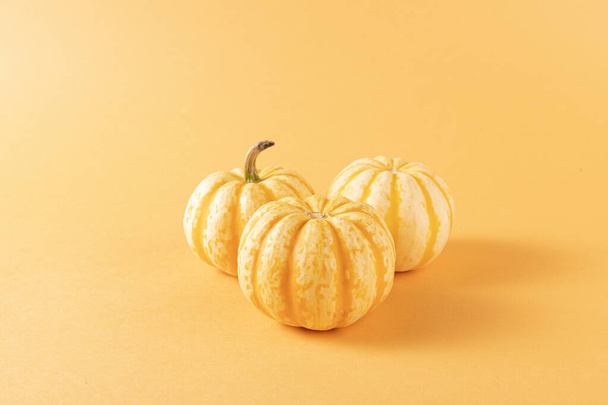 A closeup shot of thre pumpkins isolated on orange background - Фото, изображение