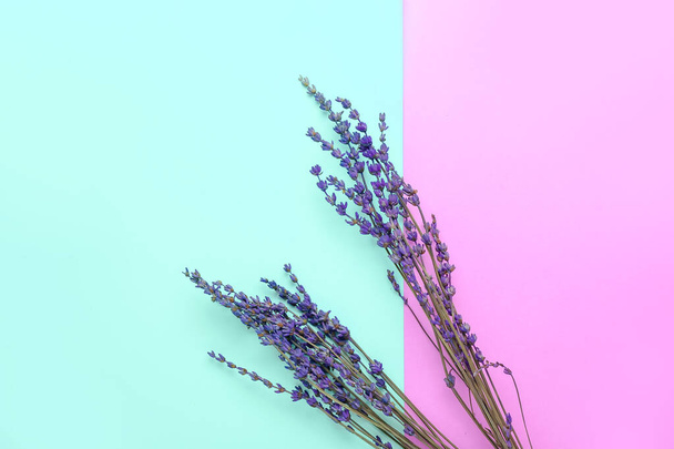 Belles fleurs de lavande sur fond de couleur - Photo, image