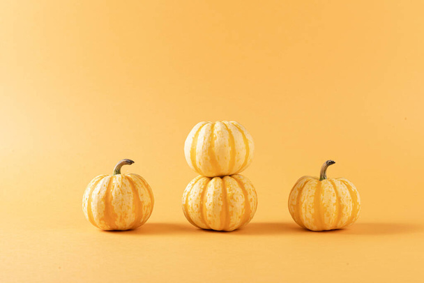A closeup shot of four pumpkins isolated on orange background - Foto, Imagem