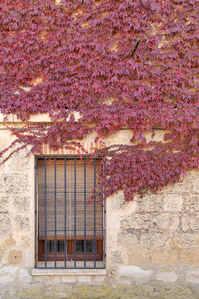 A vertical shot of Uruena wall in Valladolid, Castilla y Leon - Foto, Imagen