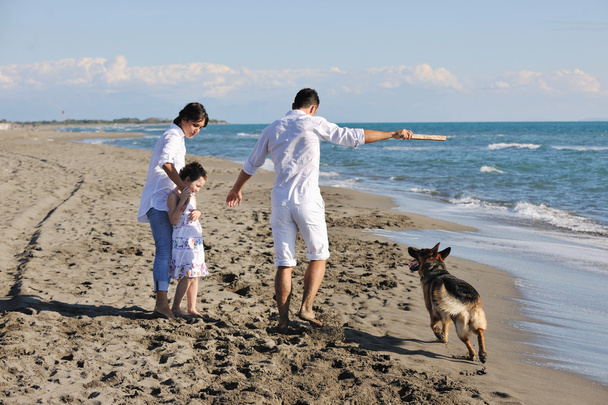 Happy family playing with dog on beach - Valokuva, kuva