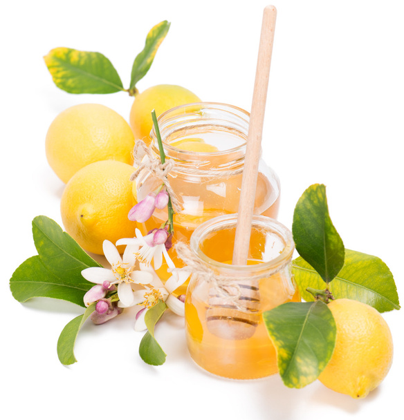 Honey  azahar and lemons - Zdjęcie, obraz