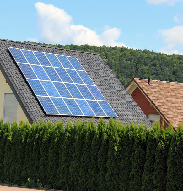  Los paneles solares permiten la producción de energía limpia
 - Foto, Imagen