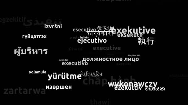Executive Translated in 44 Worldwide Languages Endless Looping 3D Zooming Wordcloud Mask - Filmagem, Vídeo