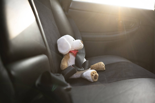 petit ours en peluche protégé avec ceinture de sécurité dans la voiture, sécurité accident de voiture - Photo, image