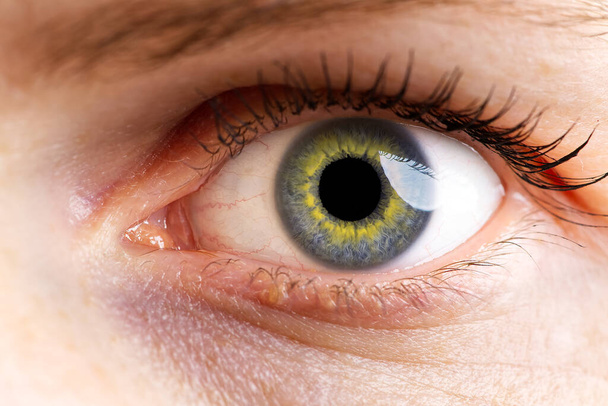 ženské makro oko. makro fotografie lidského oka - Fotografie, Obrázek