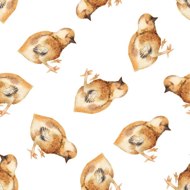 Seamless pattern with watercolor image of chicken. - Zdjęcie, obraz