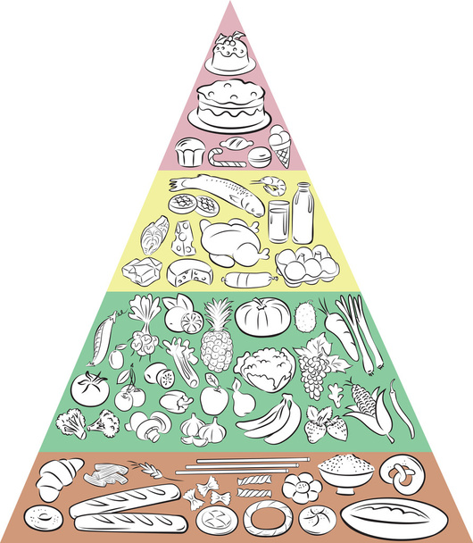 Πυραμίδα τροφίμων - Διάνυσμα, εικόνα