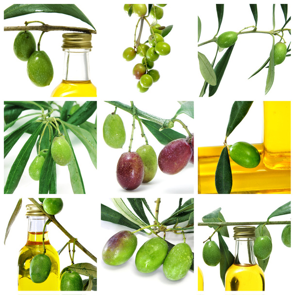 olijfolie collage - Foto, afbeelding