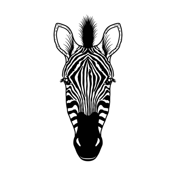 Zebra head on white - Διάνυσμα, εικόνα