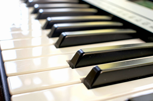 Teclas de sintetizador preto e branco música tocando piano macrofotografia. - Foto, Imagem